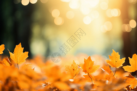 围绕秋天的金黄的树叶背景
