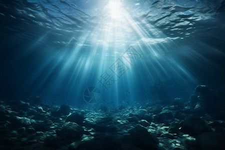 海底河豚鱼深海的美景背景