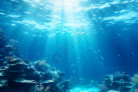 海底河豚鱼海洋的美景背景