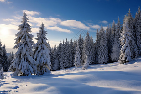 冰雪奇缘城堡冰雪奇缘的美丽景象背景