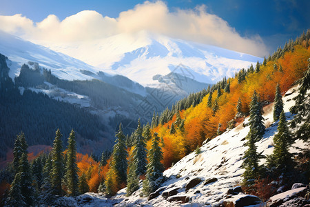 自然的秋季雪山图片