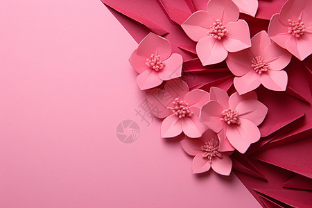 粉色花与粉色背景背景图片