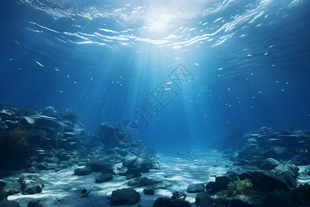 海底的乐园图片