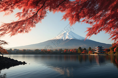 红叶背景下的富士山高清图片