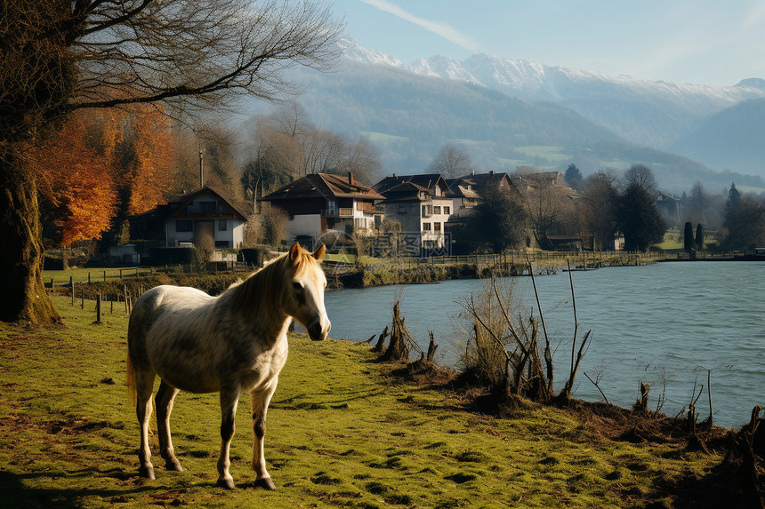 湖泊旁的马儿图片