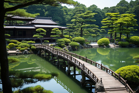 静谧的日式庭园高清图片