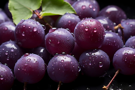 鲜嫩多汁的紫色葡萄背景图片