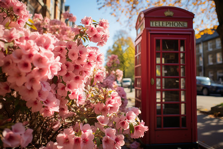 美丽的粉色鲜花电话亭高清图片