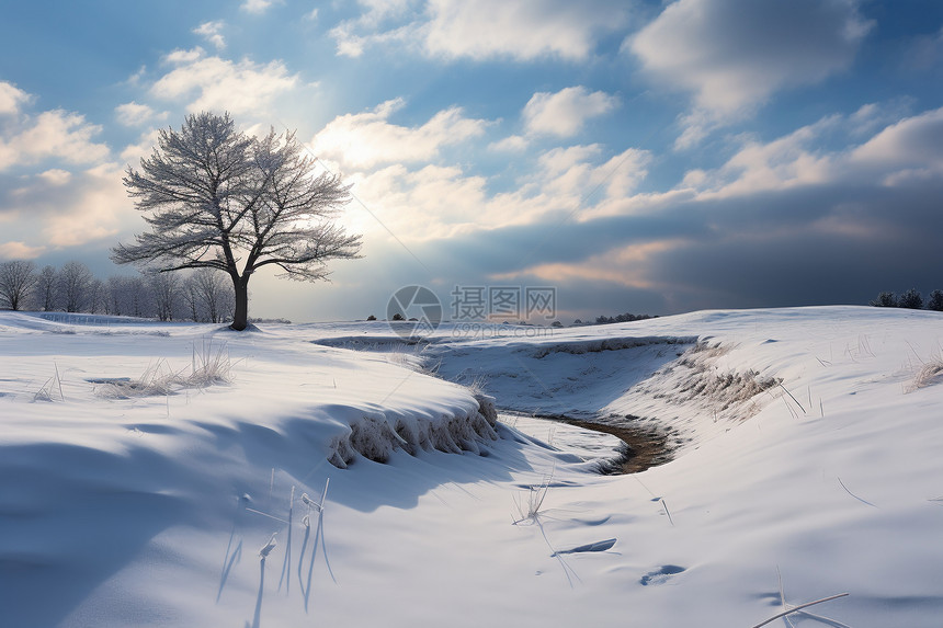 白雪皑皑的冬日图片