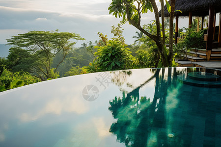 热带丛林中的无边泳池高清图片