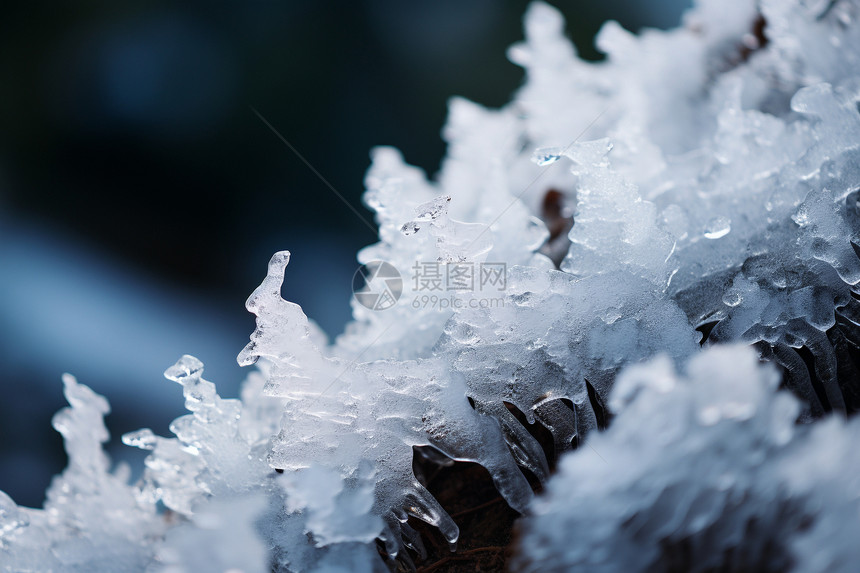 冬季天然形成的霜冻景观图片