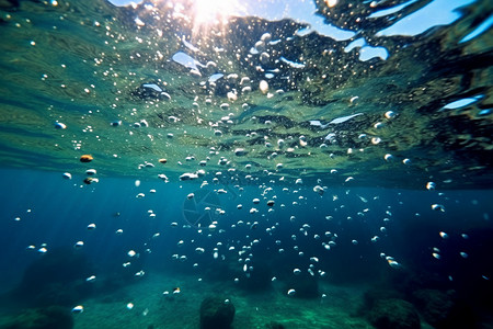 海底潜水的自然景观图片