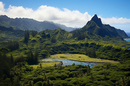 库克群岛风景如画的热带岛屿背景