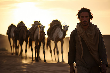 日落时的沙漠骆驼图片