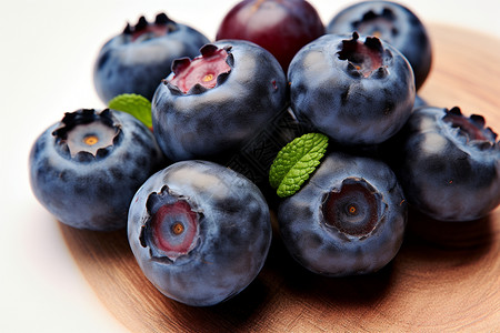 新鲜采摘的蓝莓蓝莓背景图片