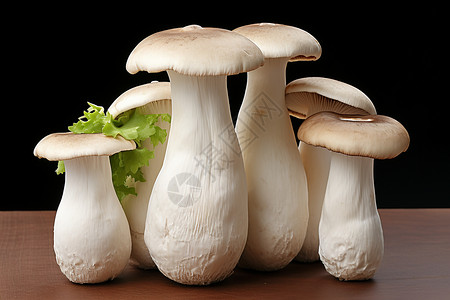 丰收时节的美味菌菇图片