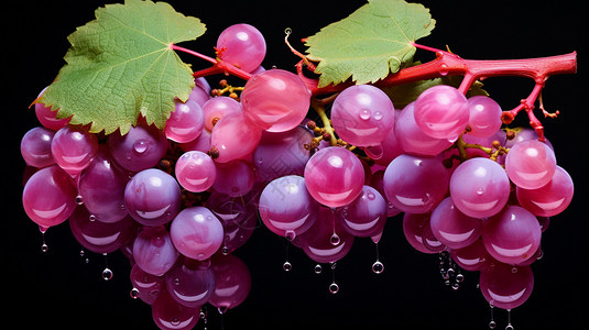 紫红葡萄背景图片
