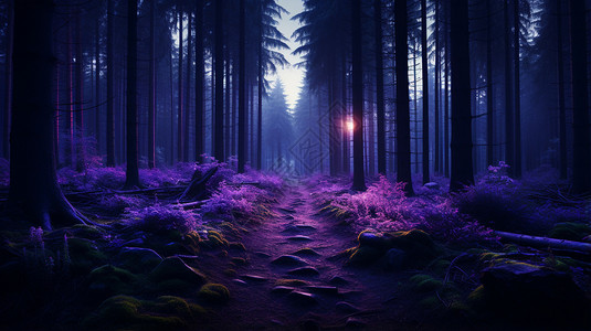 高紫色森林背景图片