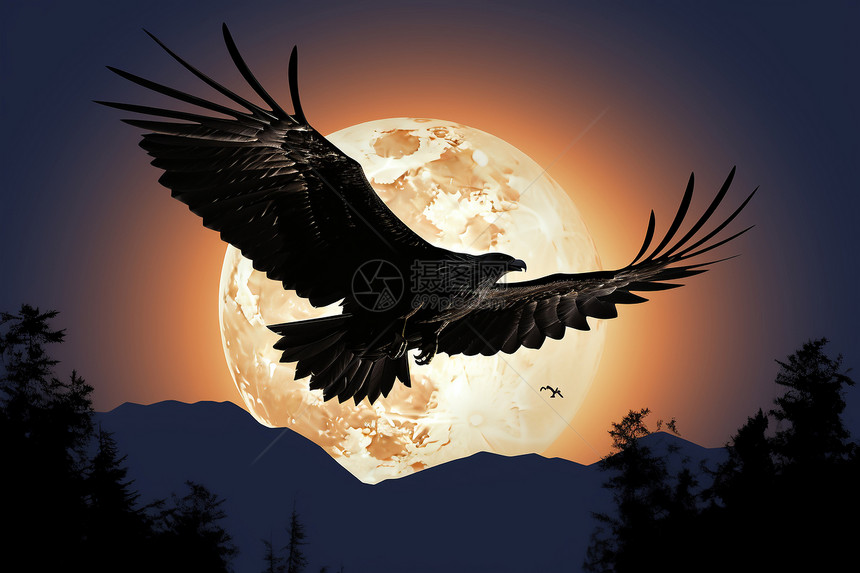 夜幕中飞翔的秃鹰图片