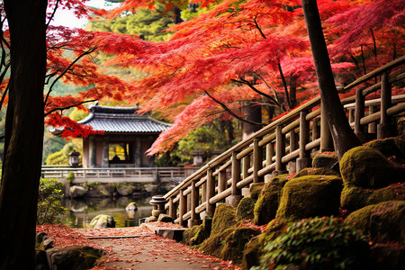 秋季中式园林建筑的美丽景观图片