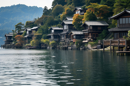 传统乡村的风景图片