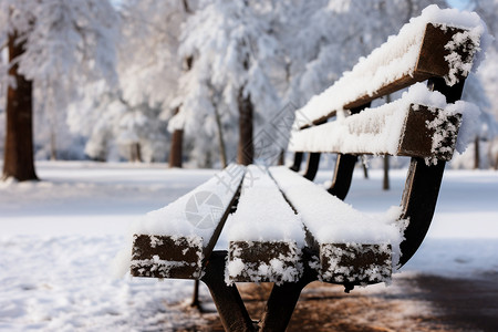 冬季森林之雪图片