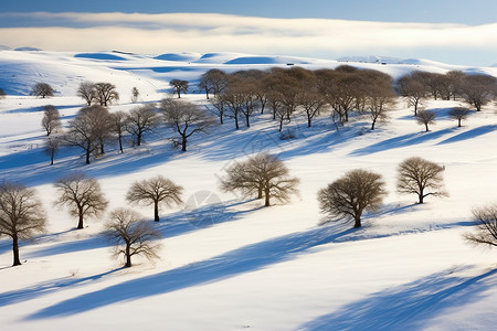 冬日平原图片