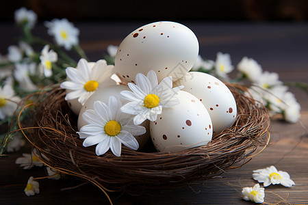 传统的鸟巢复活节彩蛋背景图片