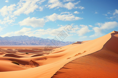 沙丘上的冒险之旅图片