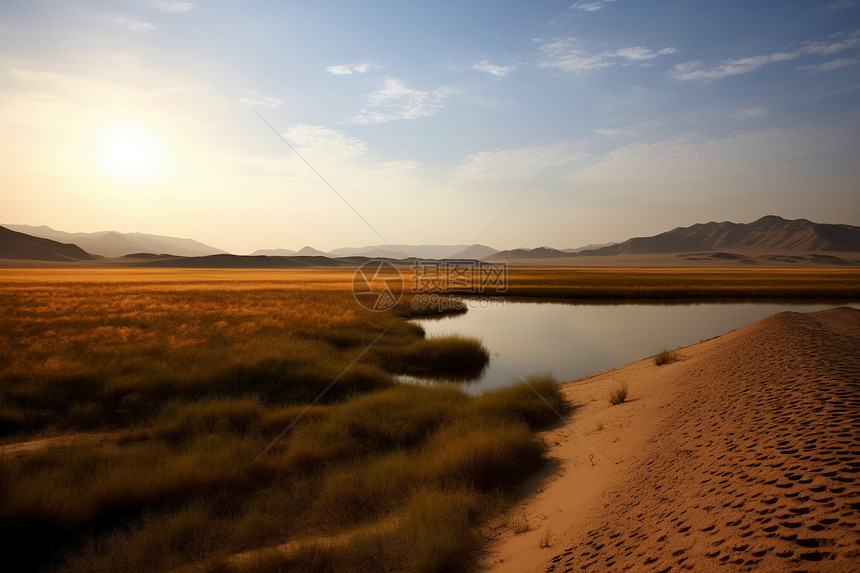夏季沙漠河流的美丽景观图片