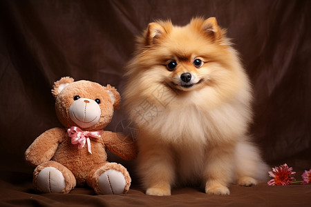 坐着的小狗和小熊背景图片