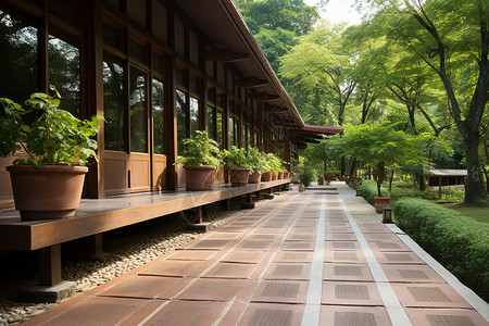 现代中式景观夏季中式建筑的园林景观背景