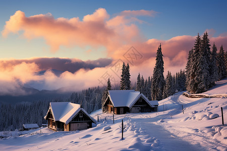 美丽的冬季森林村庄景观图片
