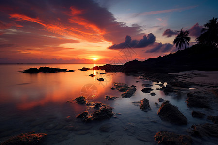 日落时的小石滩上的一幅图画图片