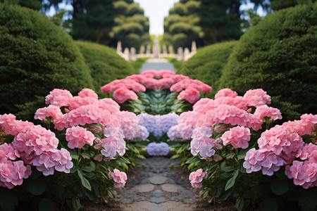 粉色花园中的美丽景色图片