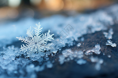 晶体状一片雪花背景