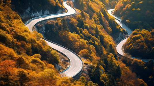 秋山上的道路背景图片