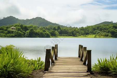 湖畔的木桥图片