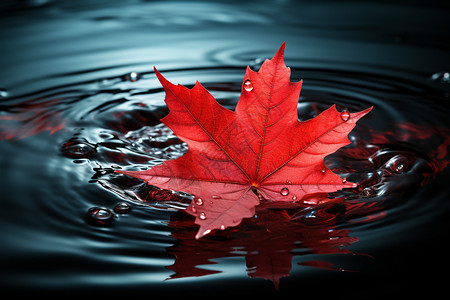 红叶在水中飘舞背景图片