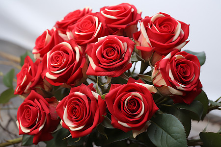 精美的玫瑰花束图片