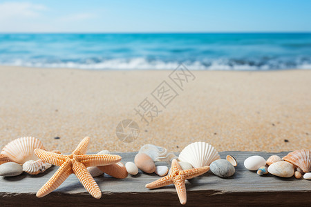 夏日海滩上的一排海星和贝壳图片