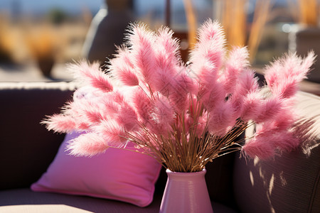 阳光下生姜花瓶中的粉色植物背景