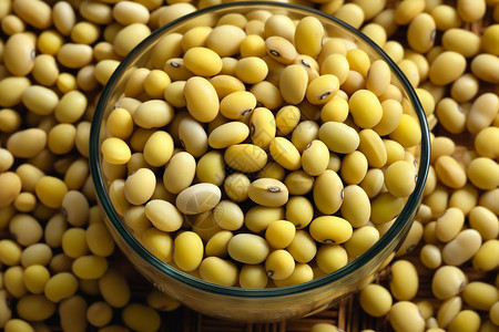 丰收的健康大豆背景图片
