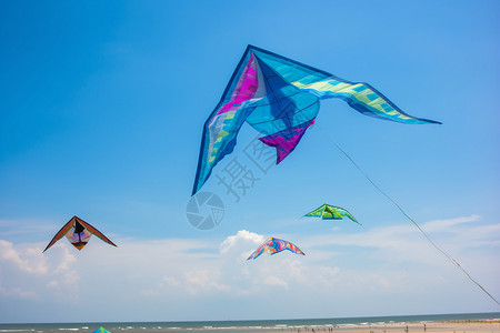 海滩乐趣夏日放风筝的乐趣背景