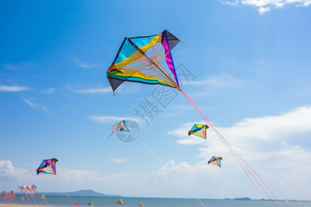沙滩上放飞的风筝背景图片