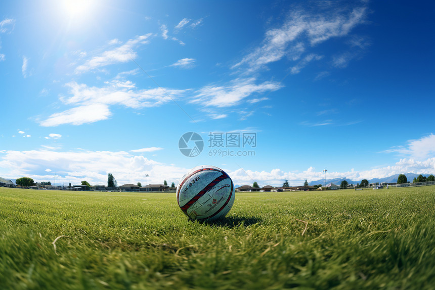 阳光下草坪上的足球图片