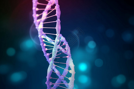 生物体的DNA分子结构概念图图片