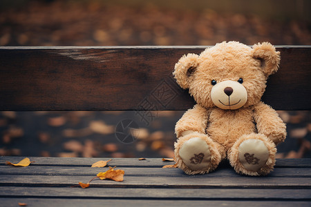 秋季户外木椅上的泰迪熊背景图片