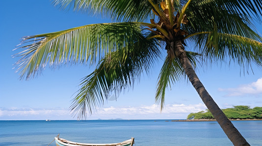 海洋海滩上的椰子树图片