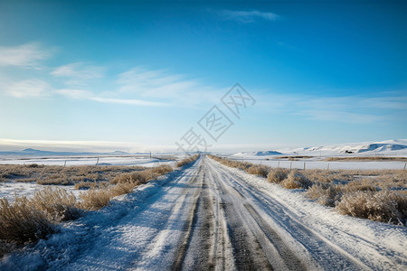 冰天雪地中的景色图片